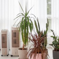 Увлажнитель (охладитель) воздуха испарительный мобильный SABIEL MB6 16