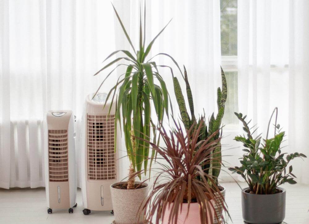 uvlazhnitel-ohladitel-vozduha-isparitelnyy-mobilnyy-sabiel-mb6 (10) Увлажнитель (охладитель) воздуха испарительный мобильный SABIEL MB6 9